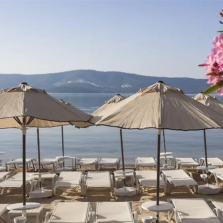 Aurum Didyma & Resort Akbuk (Didim)