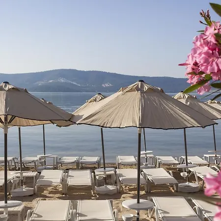 Resort Aurum Didyma &