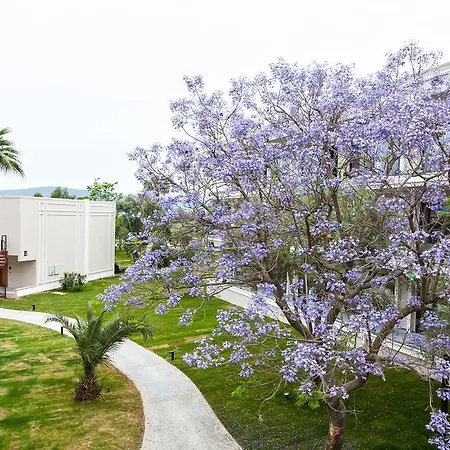 Aurum Didyma & Resort 5*